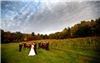 mnt photography, Manheim