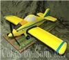 Cakes by Sam, Inc., Cabot — 3D Crop Duster Grooms Cake