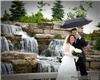 Lindo Photography, Thornhill