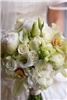Stehman Photography, Tampa — The bride shows off her bouquet she designed.