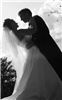 Stehman Photography, Tampa