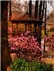 Toledo Botanical Garden, Toledo — Pond Gazebo