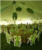Toledo Botanical Garden, Toledo — Tented Reception on Sycamore Allee