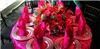 Flowers By Topaz, Oceanside