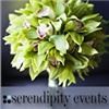Serendipity Events, Long Beach — Serendipity is a full service event consulting firm located in Long Beach, Ca. We are experts in our field and have managed all types of events including, corporate meetings, retreats, galas, charity events, silent auctions, trade shows, weddings etc. Let the our team of professional planners manage your next event.