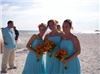 Alafia Ceremonies LLC - Lakeland, Lakeland — Brian & Cheryl's Wedding 
Tradewinds Resort 
St Pete. Beach
June 6, 2009
