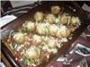 Advantage Jewish Catering And Event Planning, Encino — Breaded Mushrooms