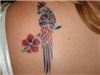 Vanishing tattoos, Lithonia