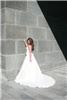 Stehman Photography, Tampa