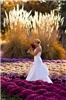 Browns Floral Design, Weaverville