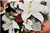 Browns Floral Design, Weaverville