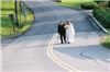 Deb Cram Photography, South Berwick