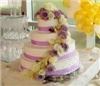 LZ Floral Design, Spring