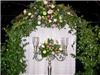 LZ Floral Design, Spring