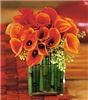 Las Flores - Phoenix, Phoenix — Welcome to the delightful world of www.lasflores.biz