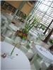 Rentablecloths.com, Dayton — Nothing can enhance the look of a room faster than quality tablecloths. We rent industry standard, polyester linens in 59 colors with napkins to match. They are available in four sizes to fit almost every table. We have great prices and we'll ship anywhere in the continental United States.