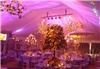 Felix The DJ - Lakeland, Lakeland — Custom room lighting, design, gobo's and special efx by felix the dj. http://www.felixthedj.com (727) 327-8895