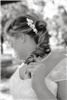 Stehman Photography, Tampa