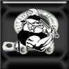Bulldog Event Services, Charlotte