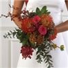Desert Floral Importers, Cathedral City