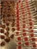 Angel's Catering, Powder Springs — Wasabi Watermelon drizeled with Balsamic Glaze
