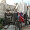Dean Bell Events - Event Planning, San Antonio
