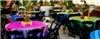 Dean Bell Events - Themed Events & Decor, San Antonio