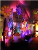 Dean Bell Events - Event Planning, San Antonio