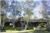 The Asian House, Glen Muse LLC, Ojai — Oriental style - serene and contemplative. Three bedrooms with private baths, sleeps up to 8 guests. Live uncluttered! Try it out. It’s a radical concept that you can explore here. Rake smooth stones. Watch the koi glide.  Meditate in the garden. Meditate in the sunny morning room. Make tea.  Write a perfect verse. Walk in the garden. Walk to town. Be quiet. Living Areas : Living Room, Kitchen, Orchard Deck