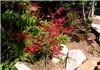 Entire Estate, Glen Muse LLC, Ojai