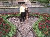 The Perfect Union - Austin, Austin — The Heart behind The Westin, Riverwalk
