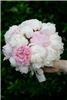 Mother Earth Floral Design & Event Planning - Huntsville, Athens