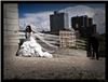 Drew May Photography - Bonnyville, Bonnyville
