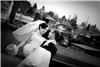 Alex Studio, Seattle — Professional Wedding Studio
Worldwide Travel