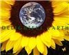 Click to see Profile