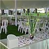 Great Temptations Catering, Ajax