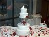 Beyond Your Wildest Dreams Events, Jacksonville