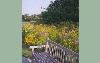 Lauritzen Gardens Omaha's Botanical Center, Omaha — A bench sits upon the edge of the Song of the Lark Meadow.