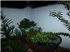 Entire Facility, Maison De Tours, Saint Martinville — Maison De Tours Courtyard