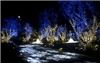 Ambiance Lighting Pros, Inc., Los Angeles