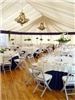 Top Notch Cleaning LLC