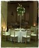 Events, LLC - Lexington, Lexington — Wedding Reception Decor