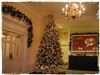 Events, LLC - Lexington, Lexington — Holiday decor available for home or corporation