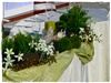 Events, LLC - Lexington, Lexington — Green table decor