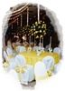 Events, LLC - Lexington, Lexington — Yellow and White reception decor