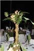 Modern Display & Event Planners Tampa, Tampa — Palm center piece