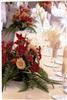 Alpha & Omega Event Consultants & More, Jacksonville