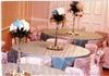 Alpha & Omega Event Consultants & More, Jacksonville