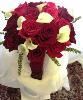 Alpha & Omega Event Consultants & More.... - Gainesville, Gainesville