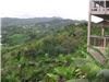 Marjorie's Kauai Inn, Lawai — view of the Lawai valley from our lanai